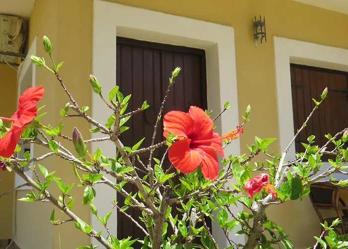 Hotel apartamentowy Medusa