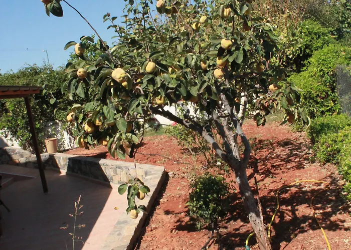 Medusa Hotel apartamentowy Hersonissos (Crete)