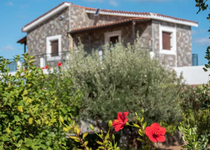 Medusa Hersonissos (Crete)