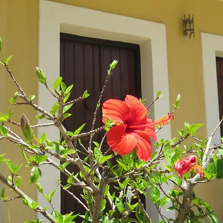 Ξενοδοχείο με διαμερίσματα Medusa