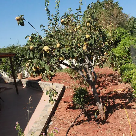 Medusa Ξενοδοχείο με διαμερίσματα Χερσόνησος