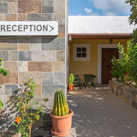 Medusa Lejlighedshotel Hersonissos (Crete)